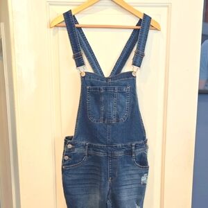 Wallflower Blue Denim Women's Overalls